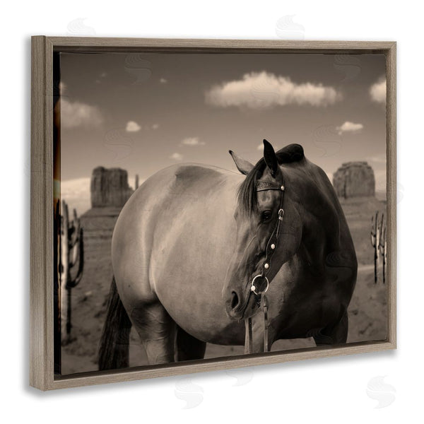 Stupell Industries Marcus Prime | Desert Horse Photography Wall Art