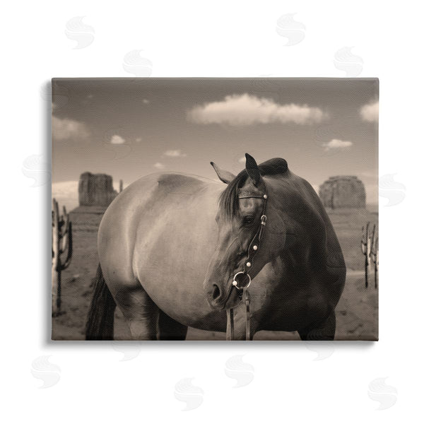 stupell industries Marcus Prime | Desert Horse Photography Wall Art