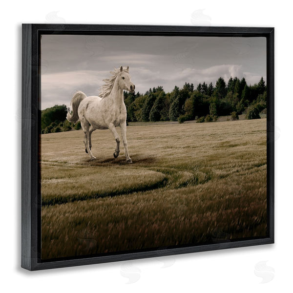 Stupell Industries Marcus Prime | Galloping Through Field Horse