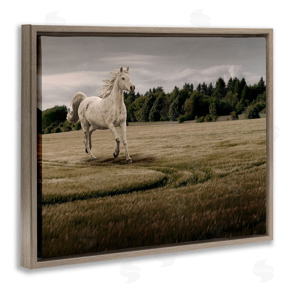 Stupell Industries Marcus Prime | Galloping Through Field Horse