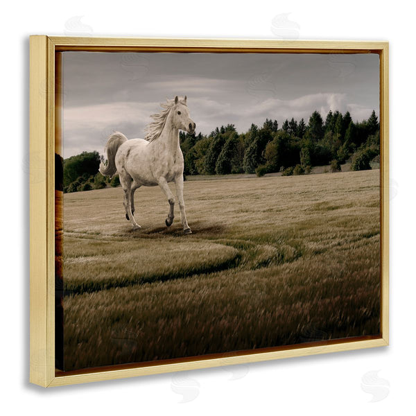 Stupell Industries Marcus Prime | Galloping Through Field Horse