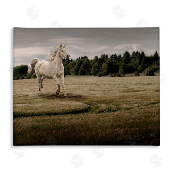 stupell industries Marcus Prime | Galloping Through Field Horse