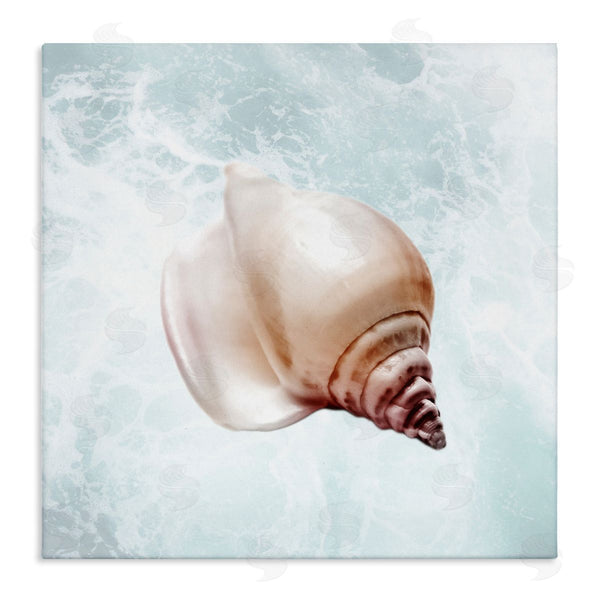 stupell industries Marcus Prime | Nautical Beach Seashell Wall Art