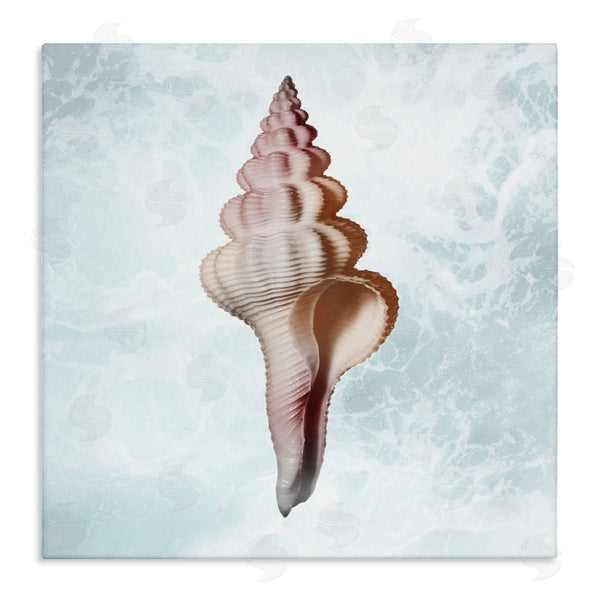stupell industries Marcus Prime | Ocean Waves Conch Shell Wall Art