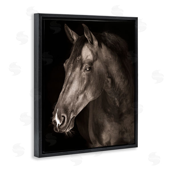 Stupell Industries Marcus Prime | Strong Stallion Horse Portrait