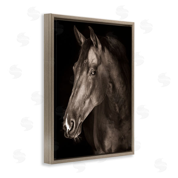 Stupell Industries Marcus Prime | Strong Stallion Horse Portrait