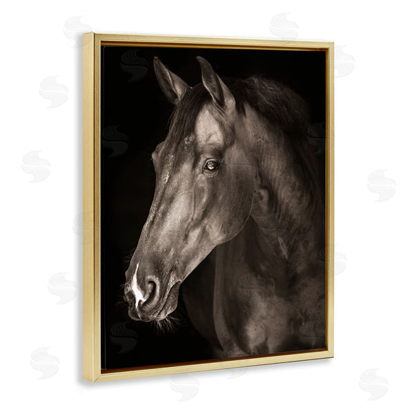 Stupell Industries Marcus Prime | Strong Stallion Horse Portrait