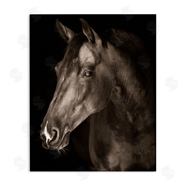 stupell industries Marcus Prime | Strong Stallion Horse Portrait