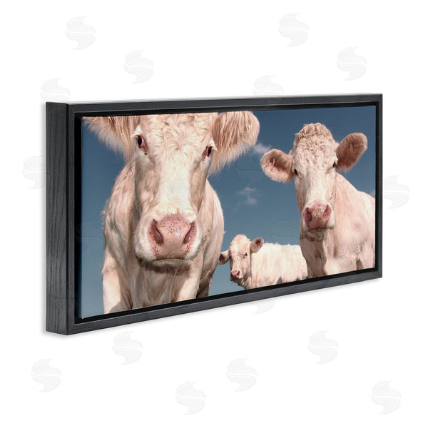 Stupell Industries Marcus Prime | Three White Cows Wall Art