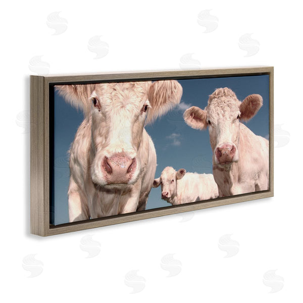 Stupell Industries Marcus Prime | Three White Cows Wall Art