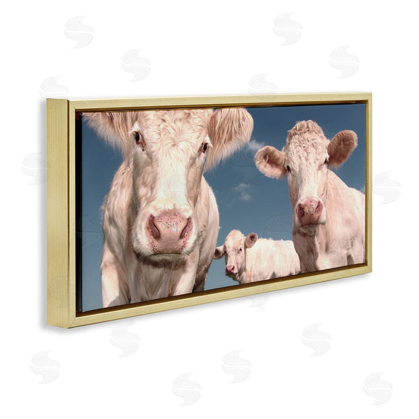 Stupell Industries Marcus Prime | Three White Cows Wall Art