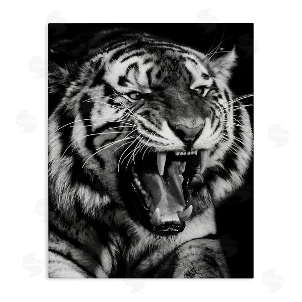 stupell industries Marcus Prime | Tiger Roaring Photography