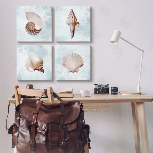 Stupell Industries Marcus Prime | Underwater Sea Life Shells Wall Art