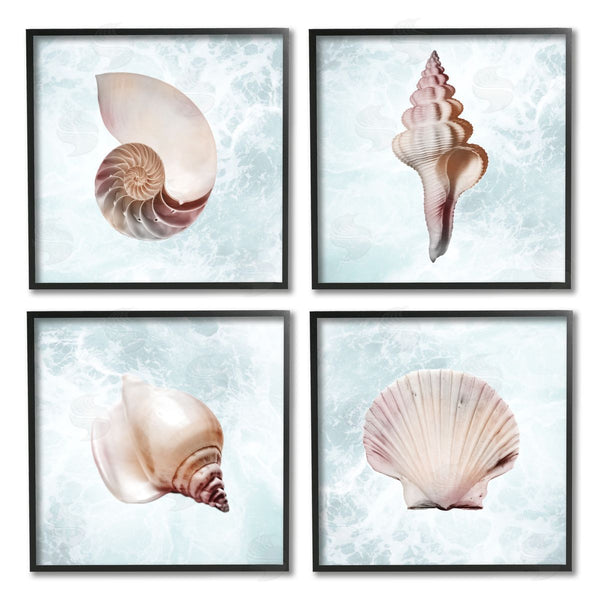 Stupell Industries Marcus Prime | Underwater Sea Life Shells Wall Art
