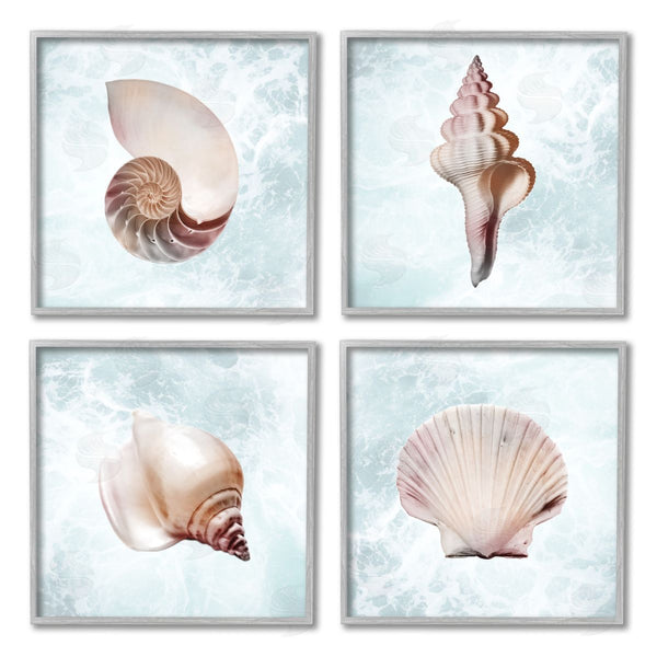 Stupell Industries Marcus Prime | Underwater Sea Life Shells Wall Art