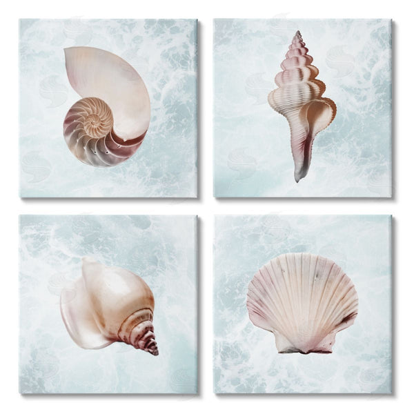 stupell industries Marcus Prime | Underwater Sea Life Shells Wall Art