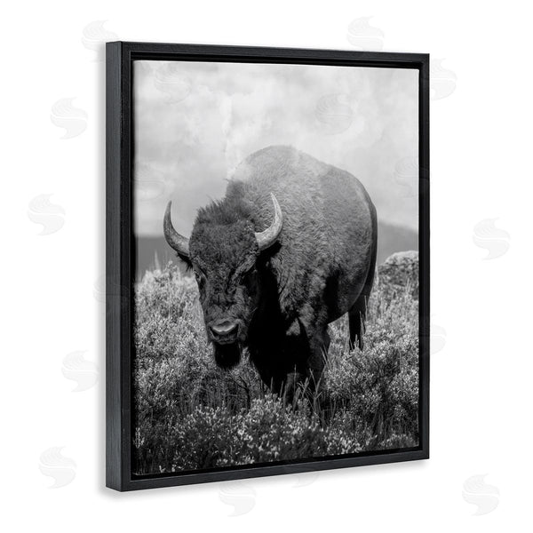 Stupell Industries Marcus Prime | Wandering Bison Monochrome Portrait