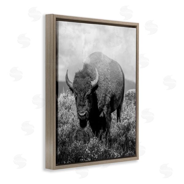 Stupell Industries Marcus Prime | Wandering Bison Monochrome Portrait