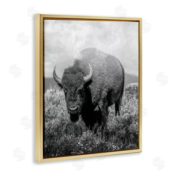 Stupell Industries Marcus Prime | Wandering Bison Monochrome Portrait