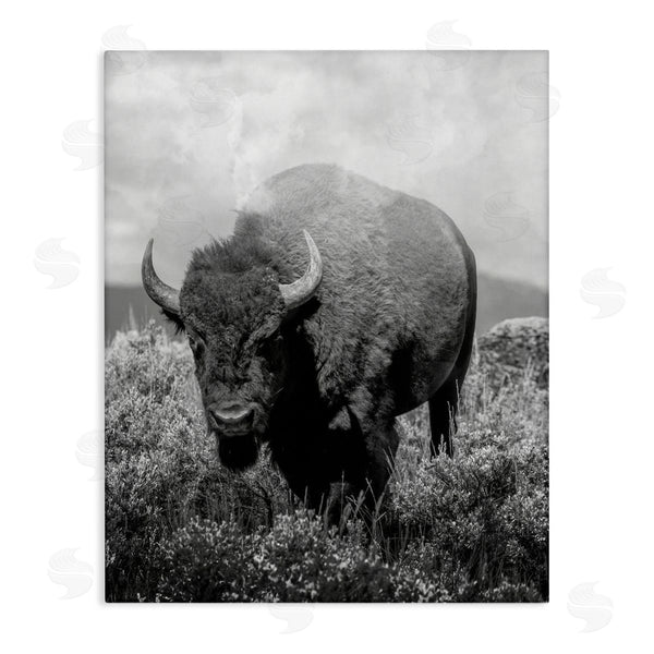 stupell industries Marcus Prime | Wandering Bison Monochrome Portrait