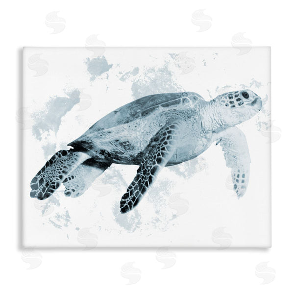 stupell industries Marcus Prime | Weathered Sea Turtle