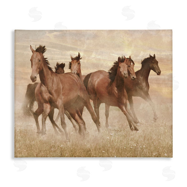 stupell industries Marcus Prime | Wild Horse Stampede Monochromatic Brown Country Field Wall Art
