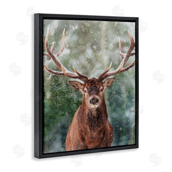 Stupell Industries Marcus Prime | Woodland Forest Deer Wall Art