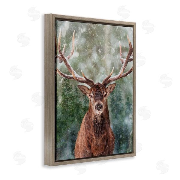 Stupell Industries Marcus Prime | Woodland Forest Deer Wall Art