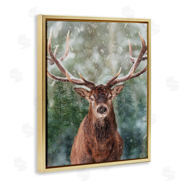 Stupell Industries Marcus Prime | Woodland Forest Deer Wall Art