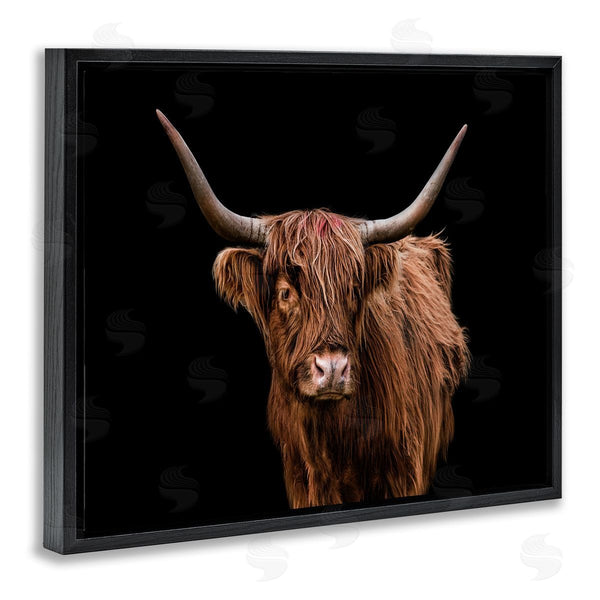 Stupell Industries Marika Moffit | Cattle Portrait Over Black