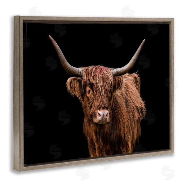 Stupell Industries Marika Moffit | Cattle Portrait Over Black