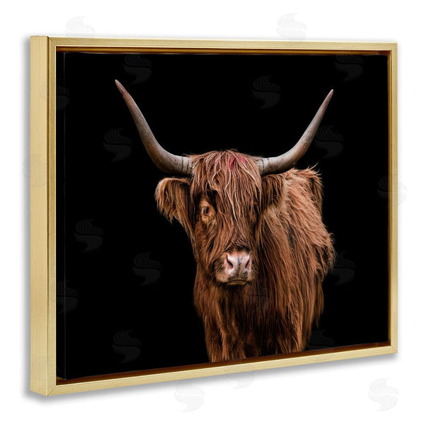 Stupell Industries Marika Moffit | Cattle Portrait Over Black