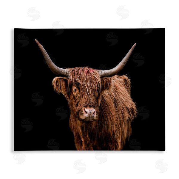 stupell industries Marika Moffit | Cattle Portrait over Black