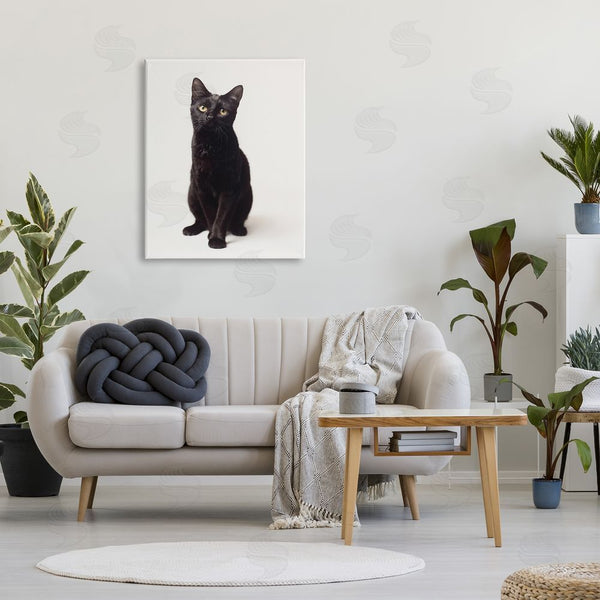Stupell Industries Marika Moffit | Cute Black Cat Expressive Eyes Pet Portrait Wall Art