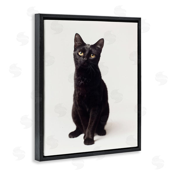 Stupell Industries Marika Moffit | Cute Black Cat Expressive Eyes Pet Portrait Wall Art