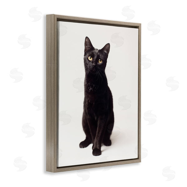 Stupell Industries Marika Moffit | Cute Black Cat Expressive Eyes Pet Portrait Wall Art