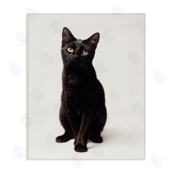 stupell industries Marika Moffit | Cute Black Cat Expressive Eyes Pet Portrait Wall Art
