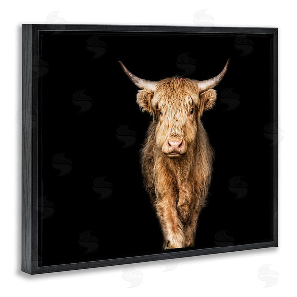 Stupell Industries Marika Moffit | Modern Cattle Portrait Minimal Farm Animal Photography Wall Art