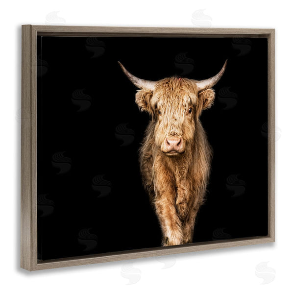 Stupell Industries Marika Moffit | Modern Cattle Portrait Minimal Farm Animal Photography Wall Art