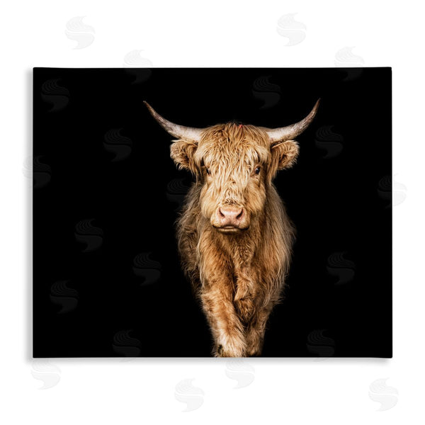 stupell industries Marika Moffit | Modern Cattle Portrait Minimal Farm Animal Photography Wall Art