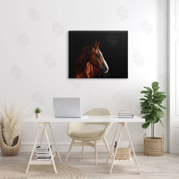 Stupell Industries Marika Moffit | Modern Horse Portrait Solemn Farm Animal Photography Wall Art