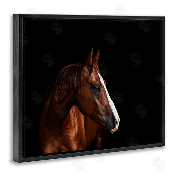 Stupell Industries Marika Moffit | Modern Horse Portrait Solemn Farm Animal Photography Wall Art
