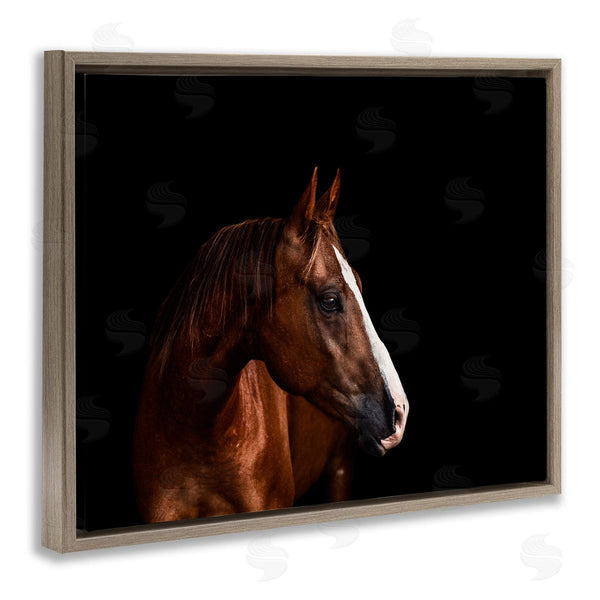 Stupell Industries Marika Moffit | Modern Horse Portrait Solemn Farm Animal Photography Wall Art