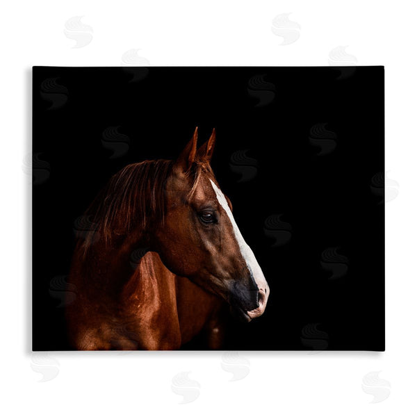 stupell industries Marika Moffit | Modern Horse Portrait Solemn Farm Animal Photography Wall Art