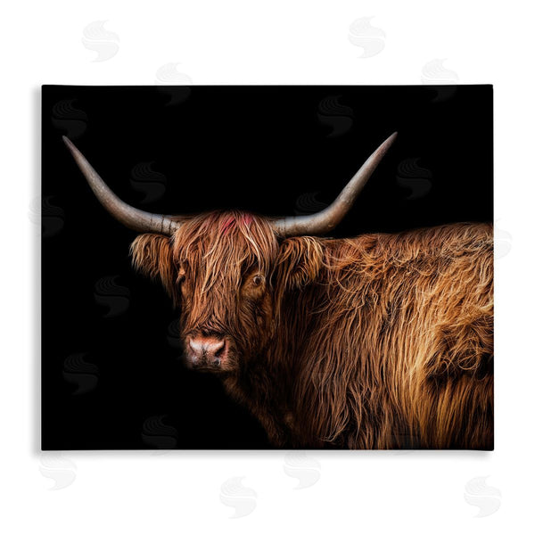 stupell industries Marika Moffit | Shaggy Farm Cattle Brown Country Animal