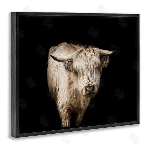 Stupell Industries Marika Moffit | Solemn Cattle Portrait Modern Farm Animal Over Black Wall Art