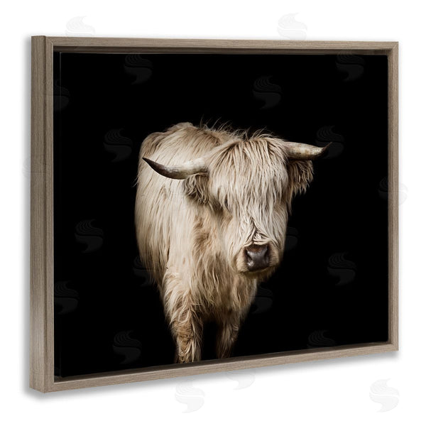Stupell Industries Marika Moffit | Solemn Cattle Portrait Modern Farm Animal Over Black Wall Art