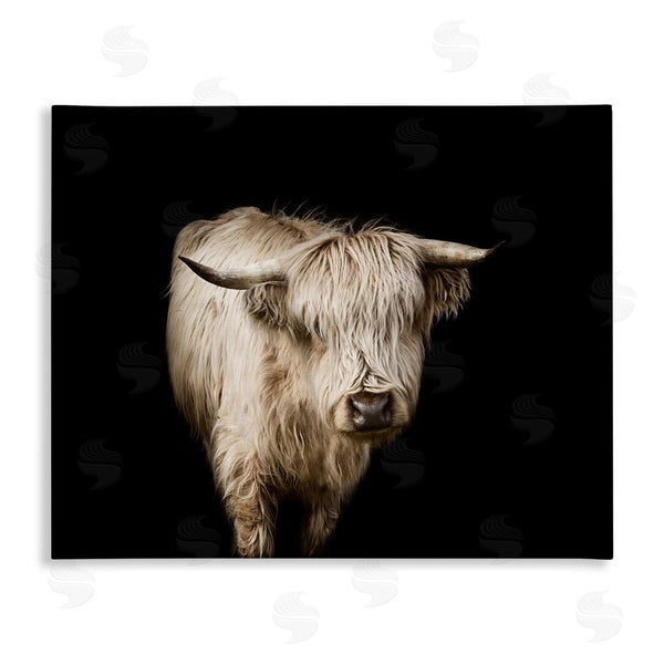 stupell industries Marika Moffit | Solemn Cattle Portrait Modern Farm Animal over Black Wall Art