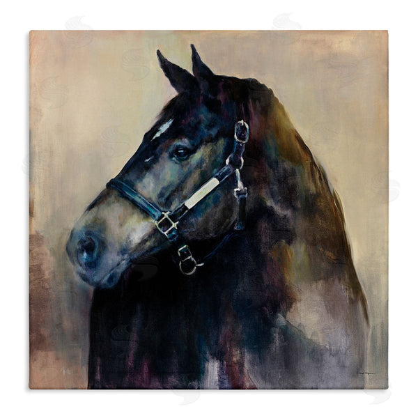 stupell industries Marilyn Hageman | Ritzy Black Horse
