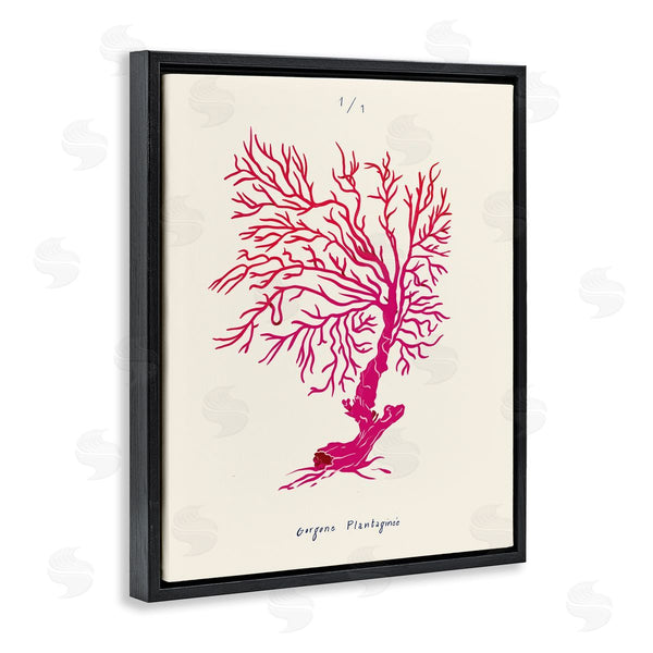 Stupell Industries Marina Astudillo | Sea Fauna Coral